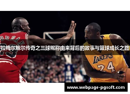 拉梅尔鲍尔传奇之三球昵称由来背后的故事与篮球成长之路